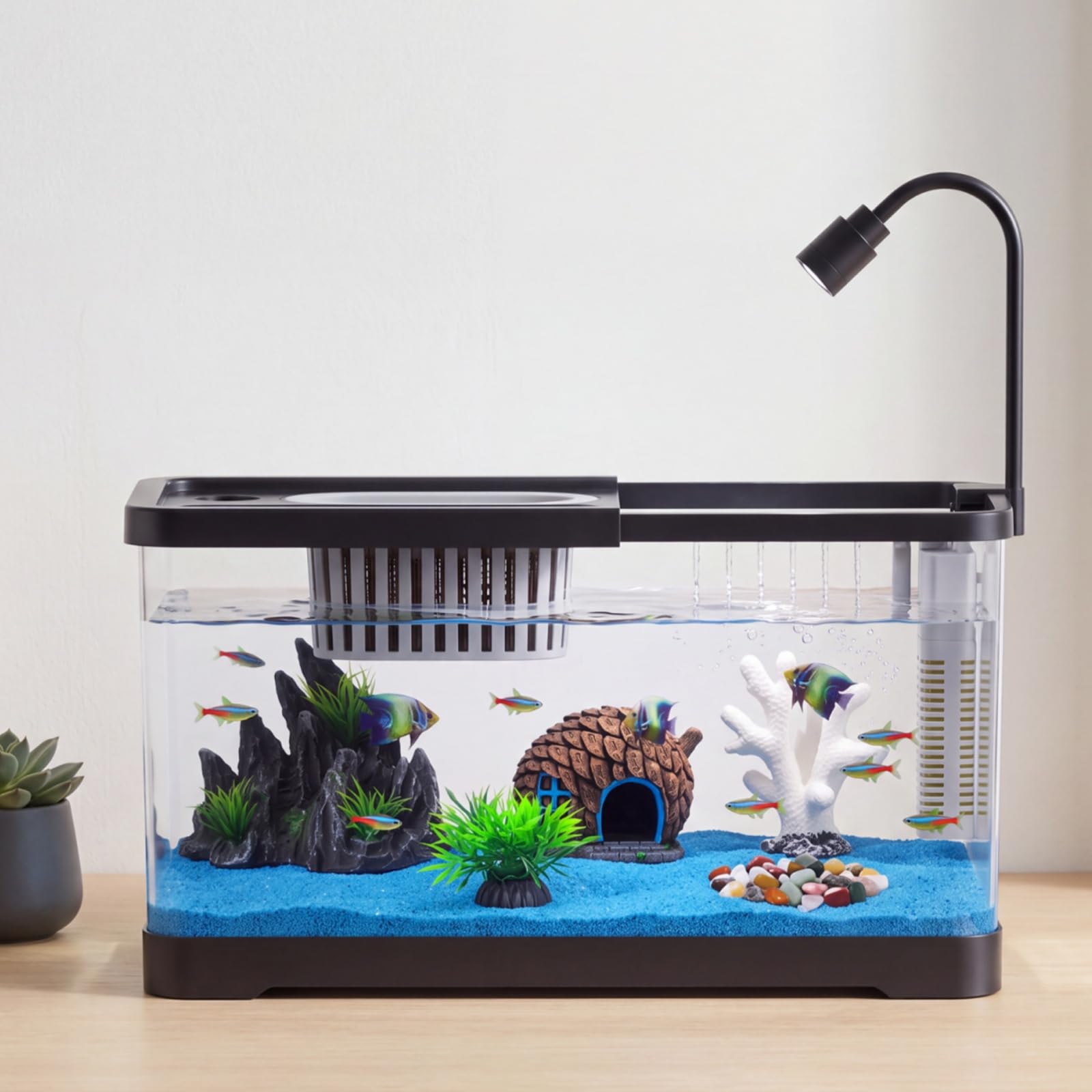 Betta Fish Tank - Fish Tank Starter Kit With Filter