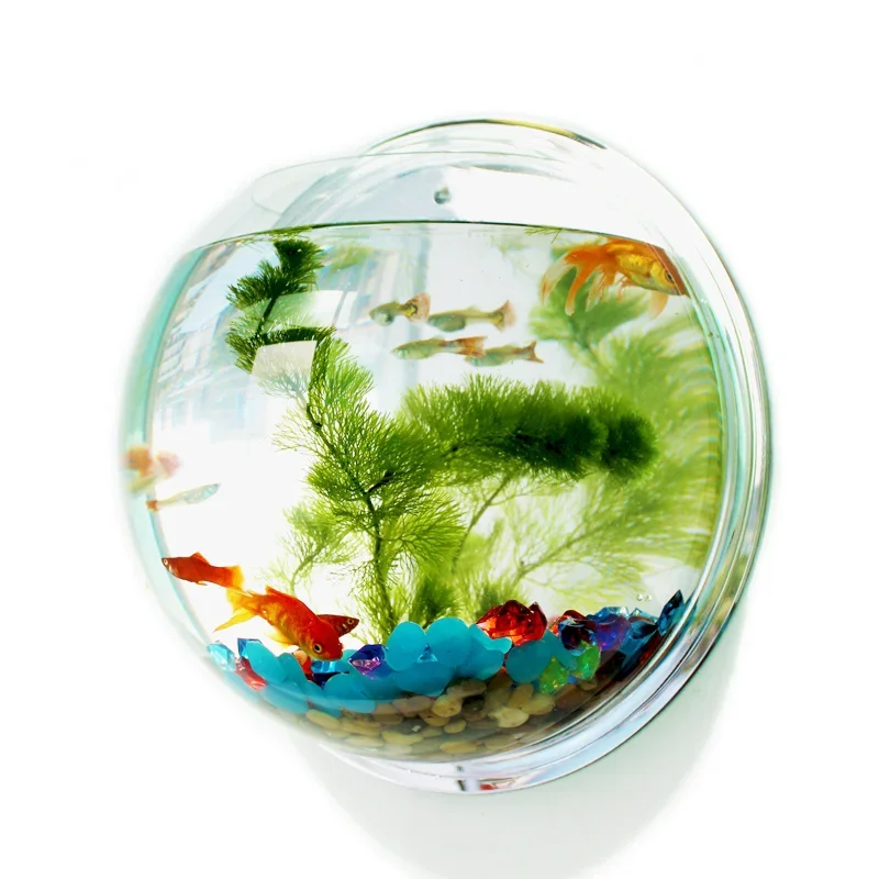 Betta Fish Tank - Pinsjar Acrylic Fish Bowl Wall Hanging