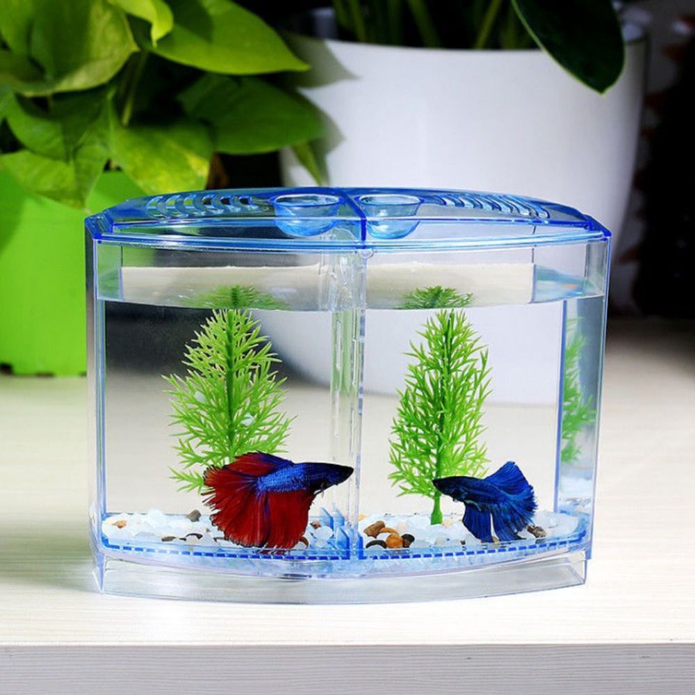 Betta Fish Tank - Transparent Betta Fish Tank, Double-grid Rhombus