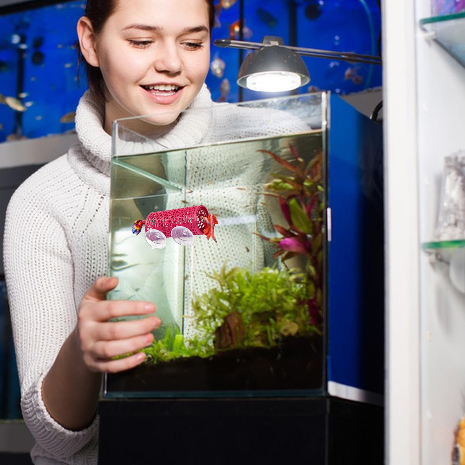 Betta Habitat Resting Shelter  - огляд і ціна Betta Fish Tank