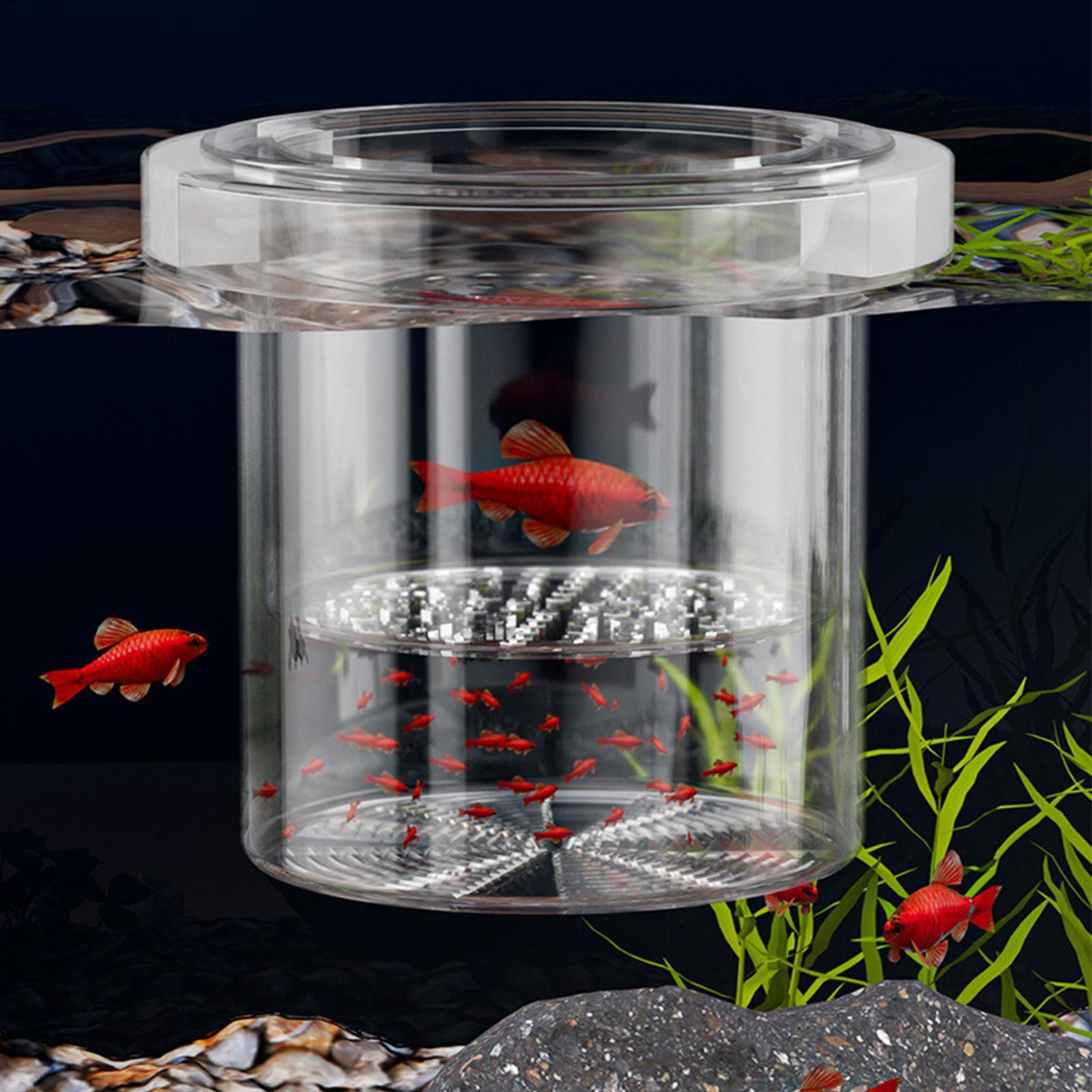 Durable Fish Breeder Box Fish  - огляд і ціна Betta Fish Tank