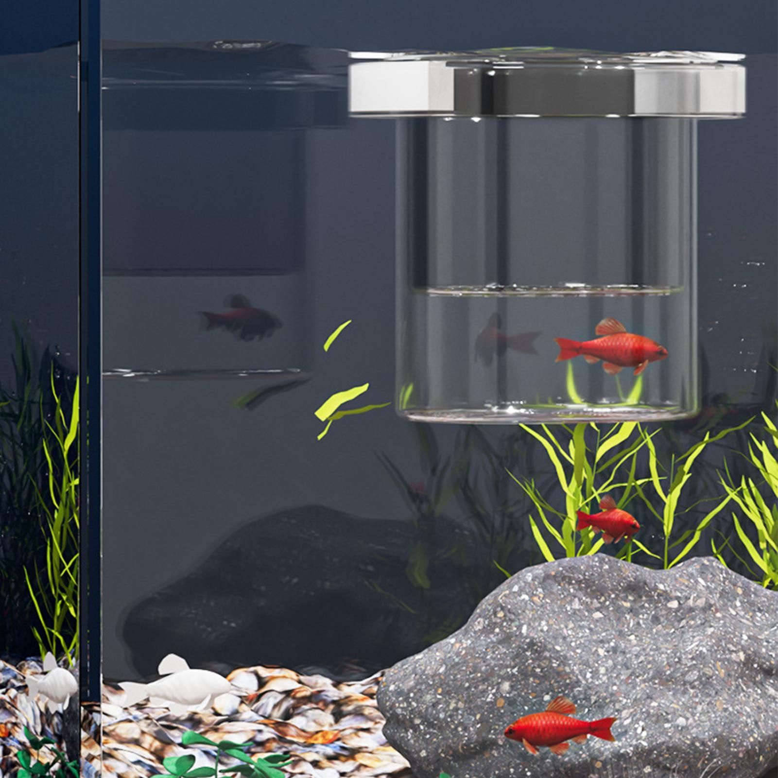 Durable Fish Breeder Box Fish  - огляд і ціна Betta Fish Tank