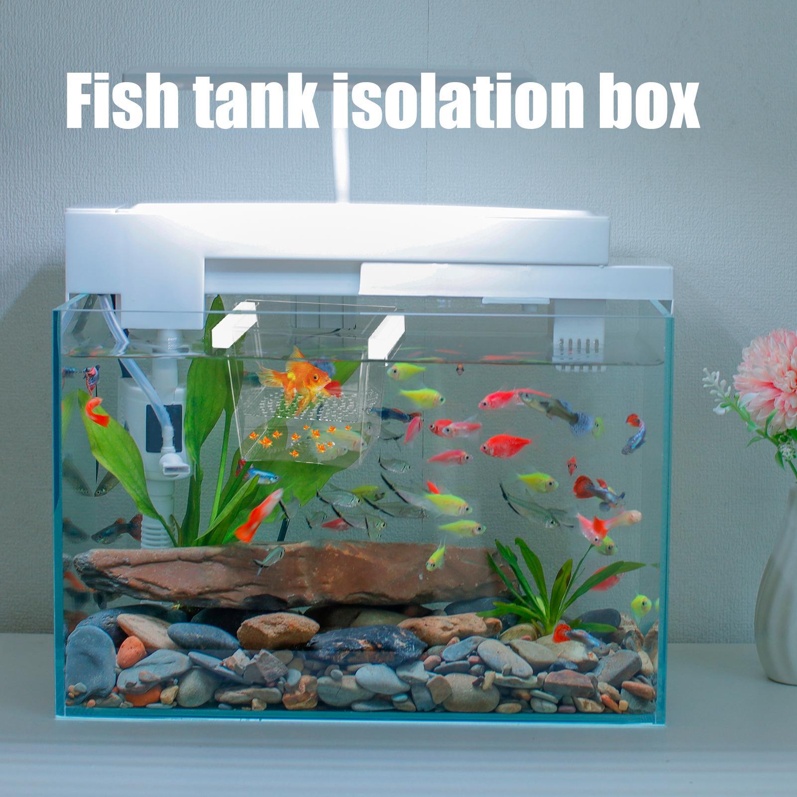Durable Fish Breeder Box Fish  - огляд і ціна Betta Fish Tank
