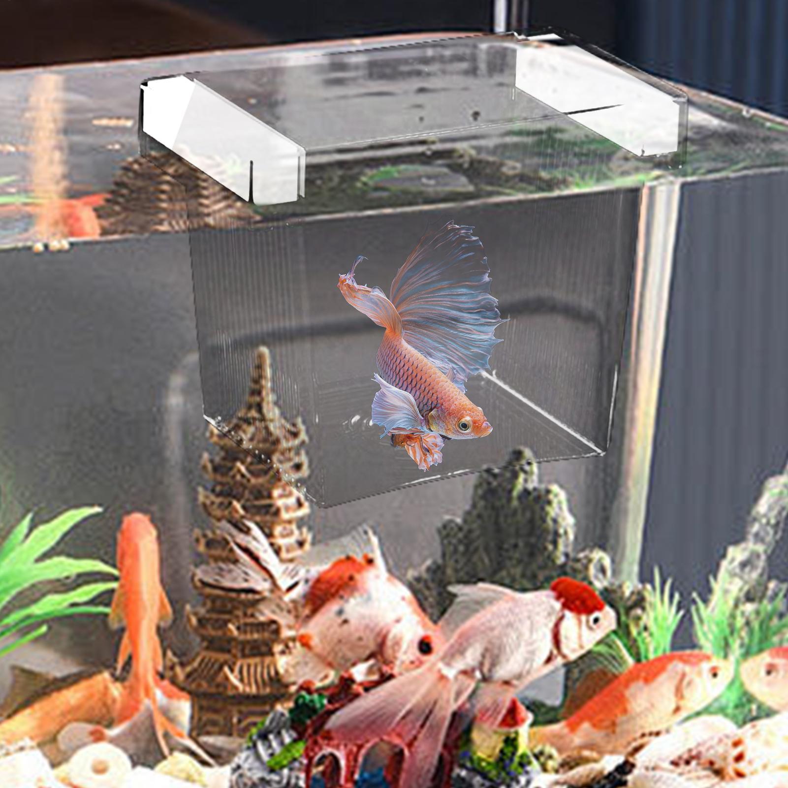 Floating Fish Breeding Isolati - огляд і ціна Betta Fish Tank