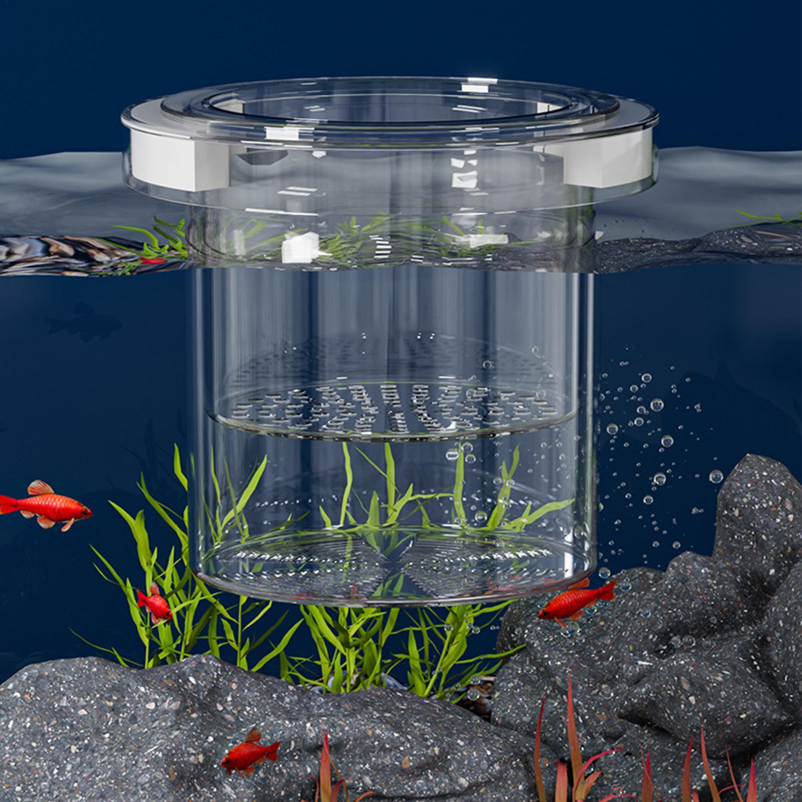 Floating Fish Breeding Isolati - огляд і ціна Betta Fish Tank