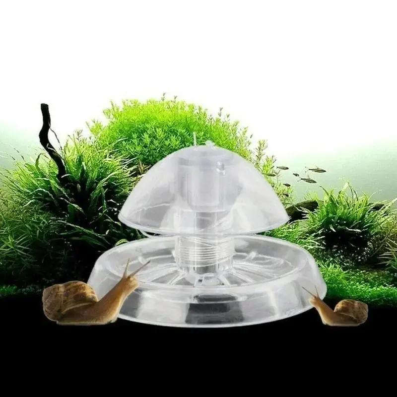 2026 New 6/8CM Clear Plastic S - огляд і ціна Fish Aquarium Home