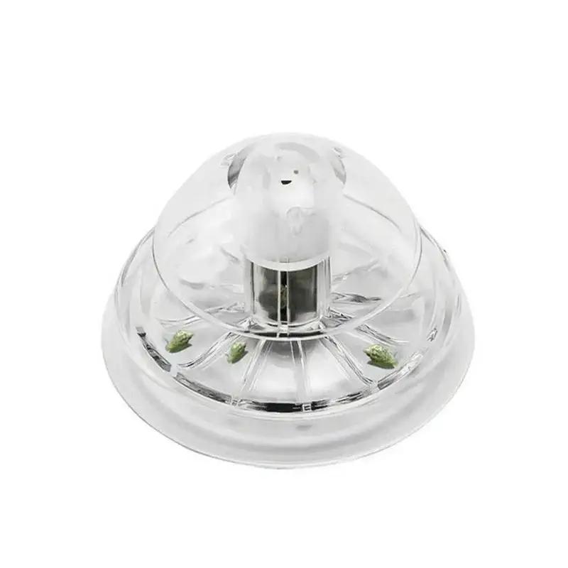 2026 New 6/8CM Clear Plastic S - огляд і ціна Fish Aquarium Home