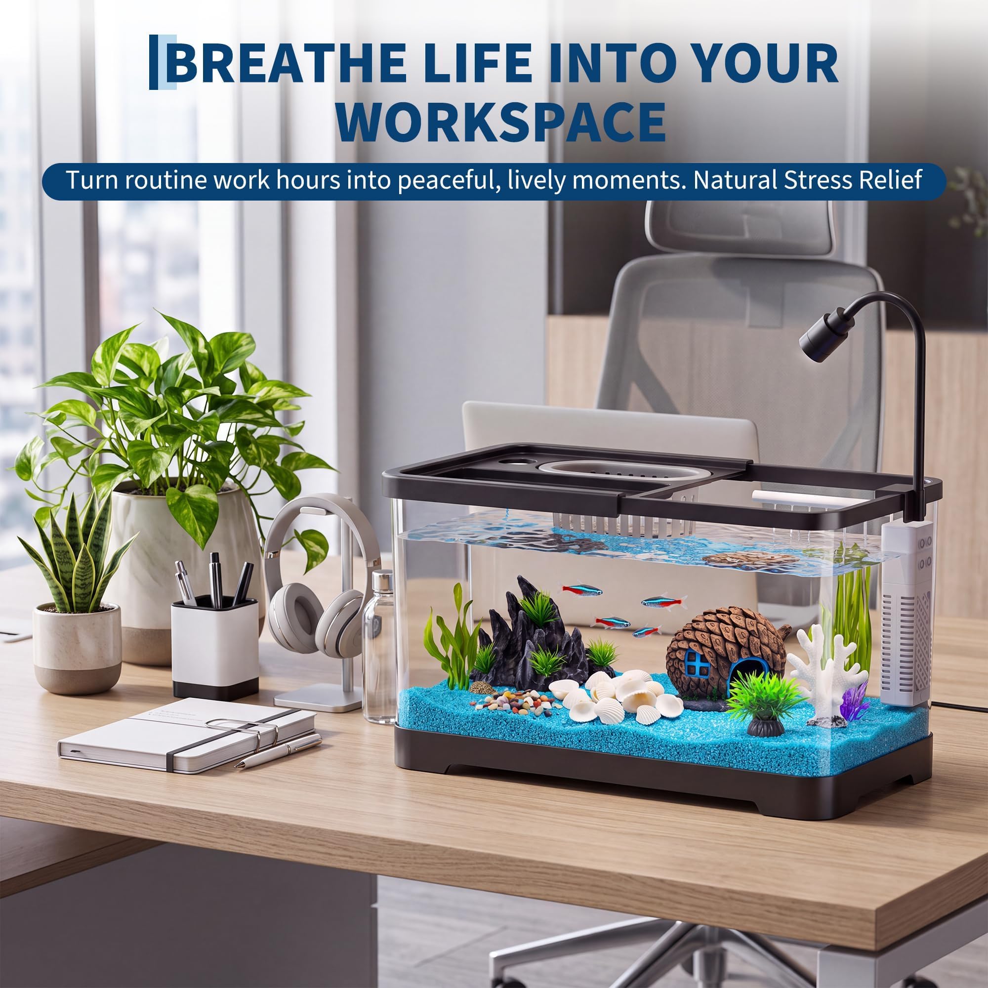 Fish Tank Starter Kit With Fil - огляд і ціна Betta Fish Tank