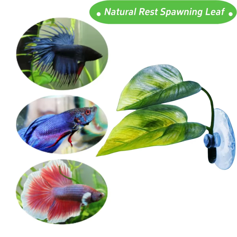 Aquarium Pet Supplies Decorati - огляд і ціна Betta Fish Tank