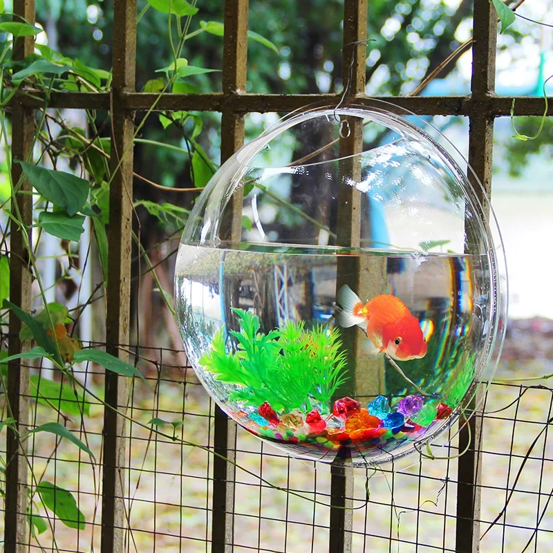 Pinsjar Acrylic Fish Bowl Wall - огляд і ціна Betta Fish Tank