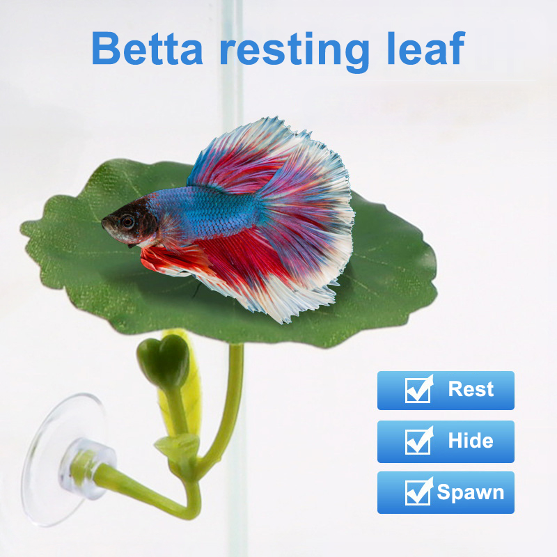 (Ce14)1/5PC Green Leaf Hammock - огляд і ціна Betta Fish Tank