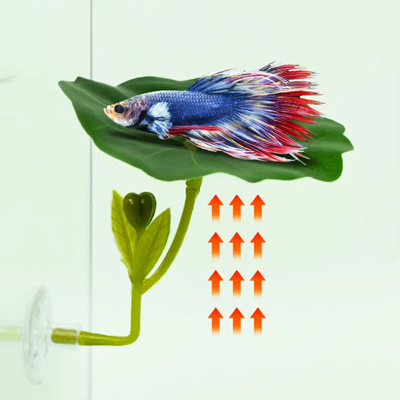 (Ce14)1/5PC Green Leaf Hammock - огляд і ціна Betta Fish Tank