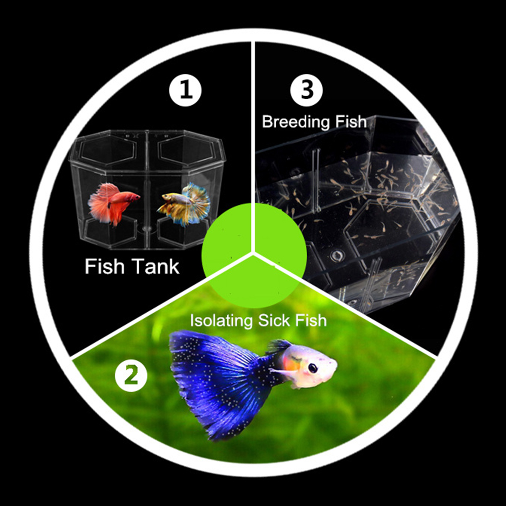 Acrylic Two Splits Guppy Fish  - огляд і ціна Betta Fish Tank
