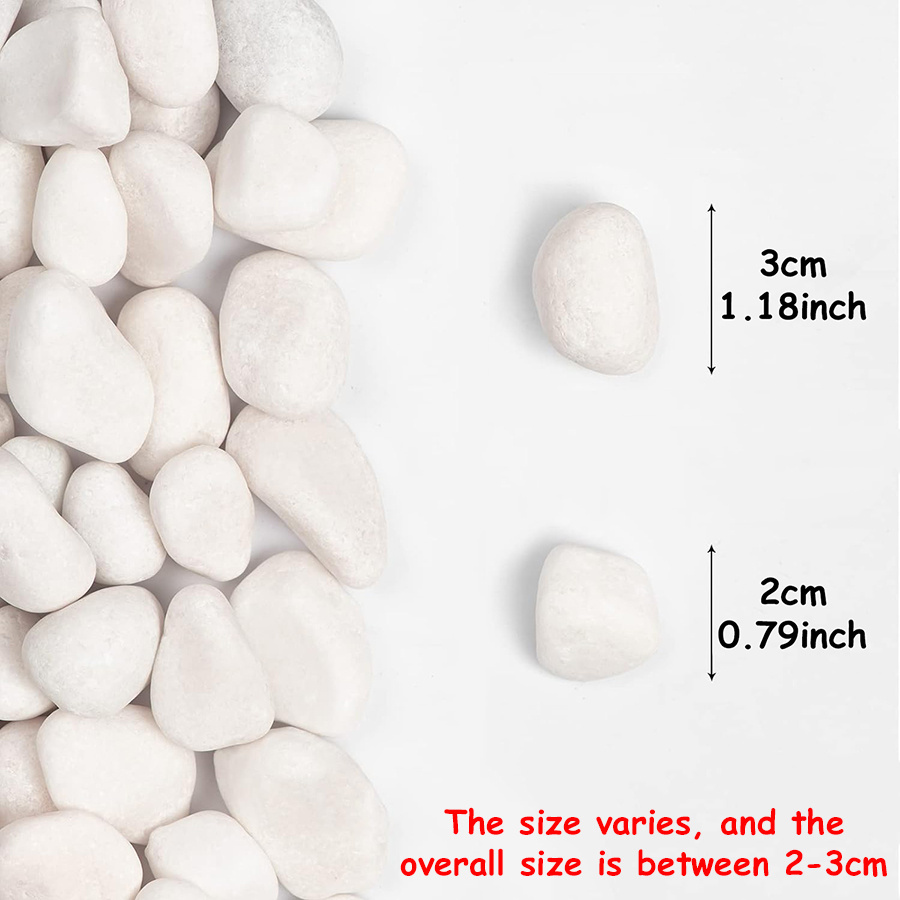 200/400g White High Polished N - огляд і ціна Fish Aquarium Home