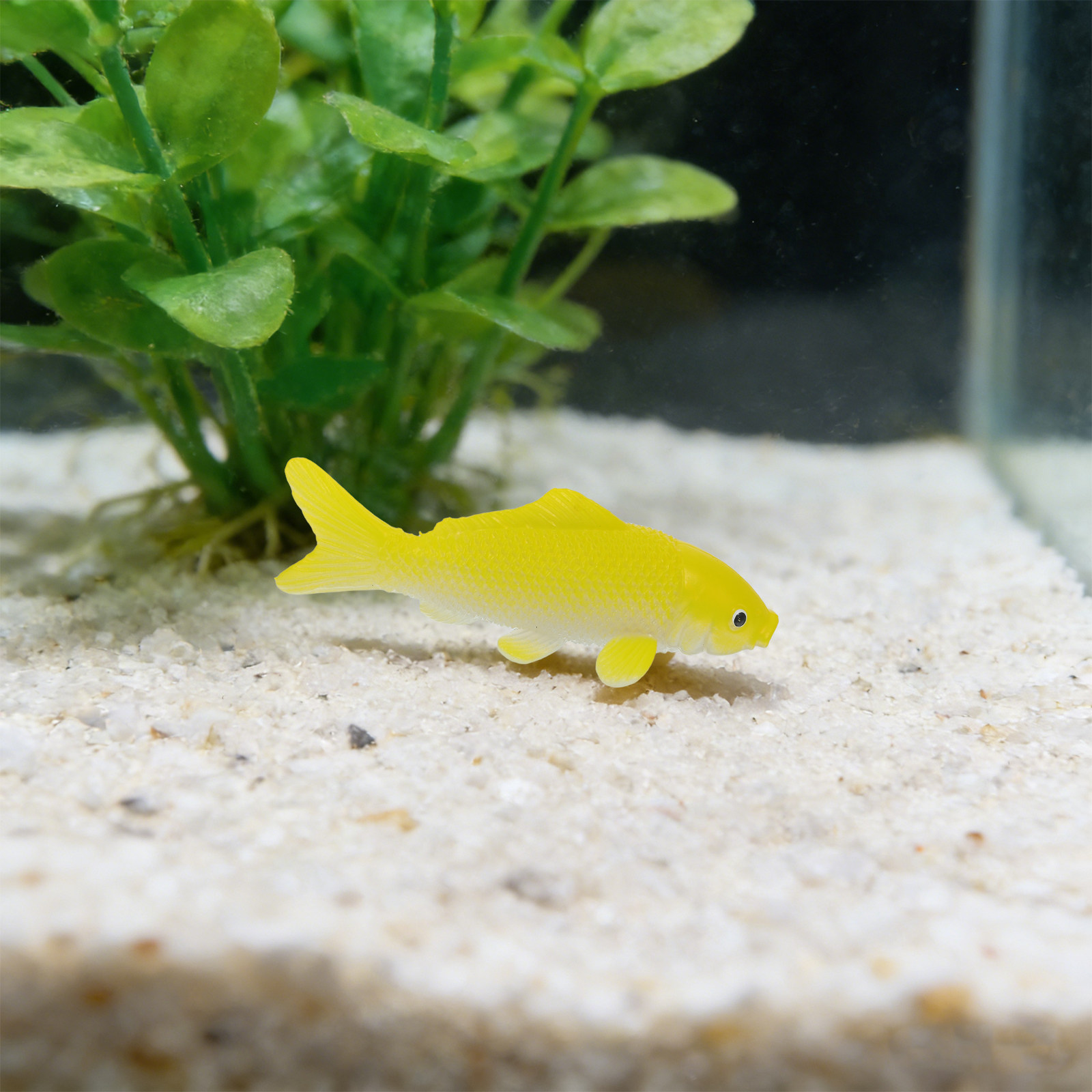 3pcs Fish Crafts Toys Realisti - огляд і ціна Fish Aquarium Home