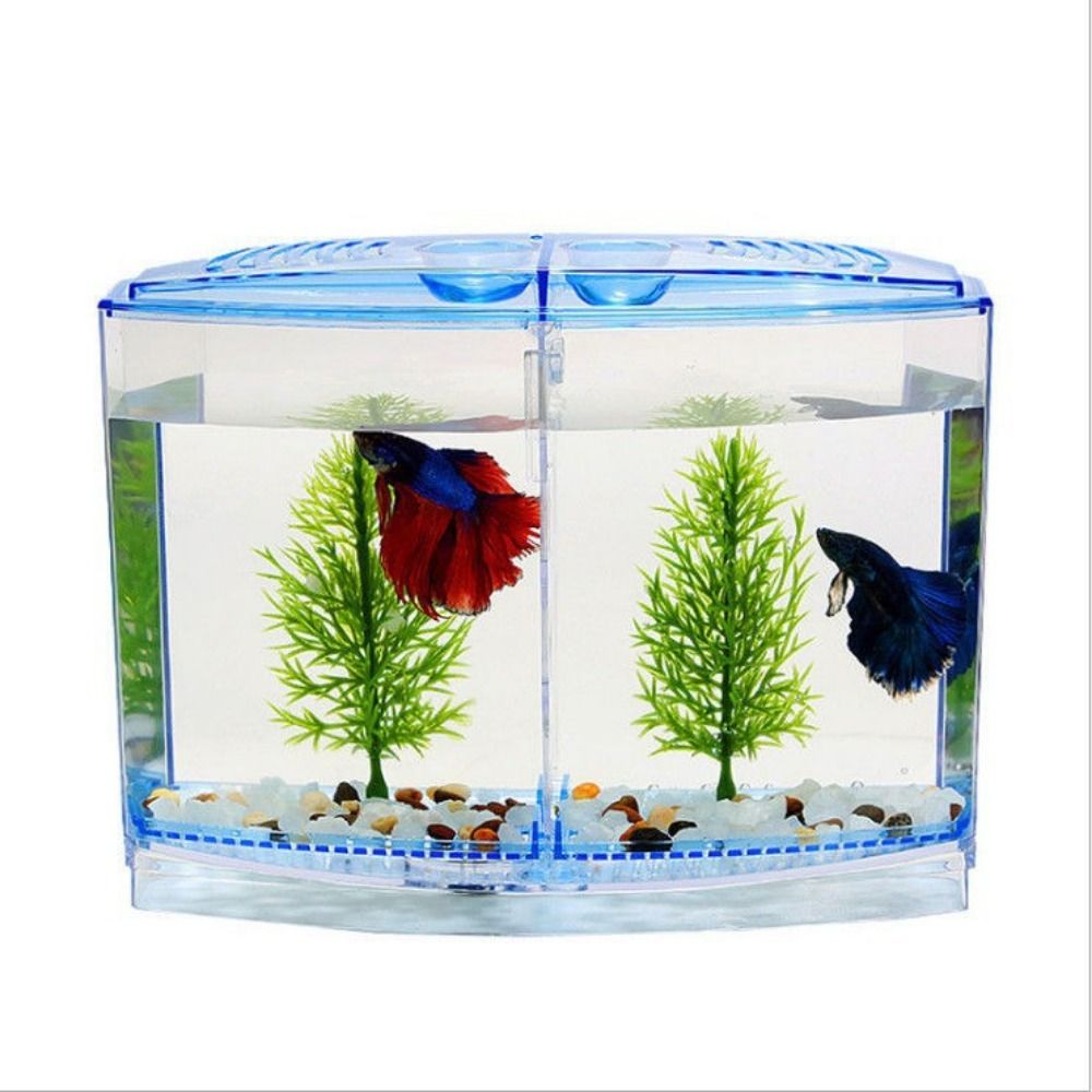 Transparent Betta Fish Tank, D - огляд і ціна Betta Fish Tank