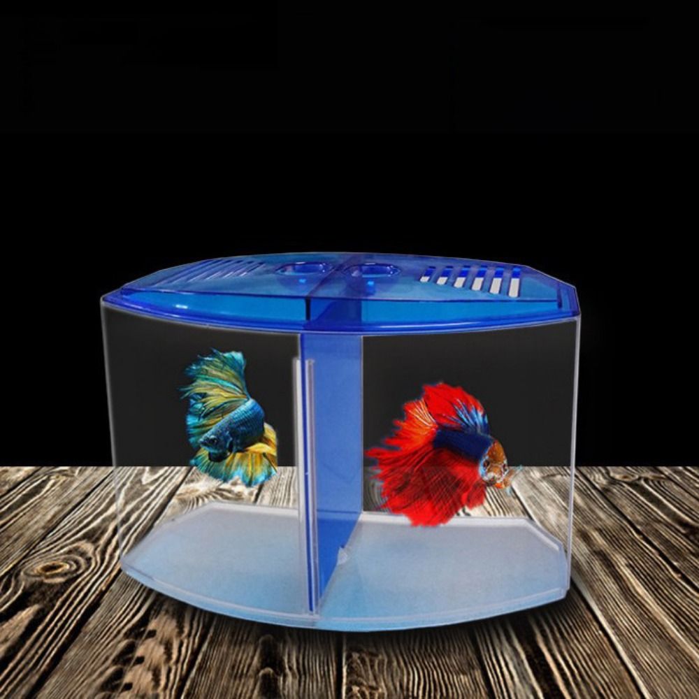 Transparent Betta Fish Tank, D - огляд і ціна Betta Fish Tank