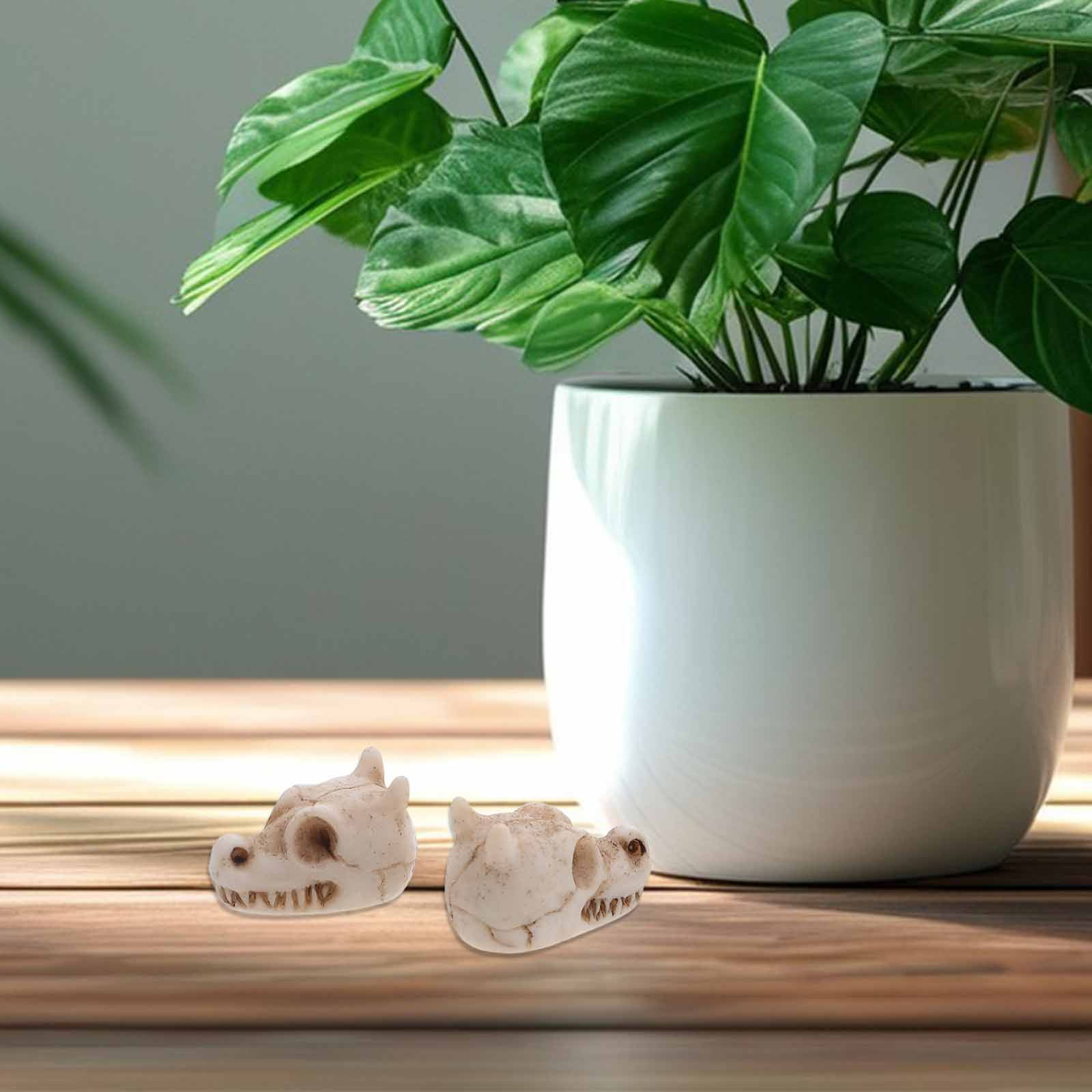 20Pcs Mini Dragon Skull Resin  - огляд і ціна Aquarium Decor