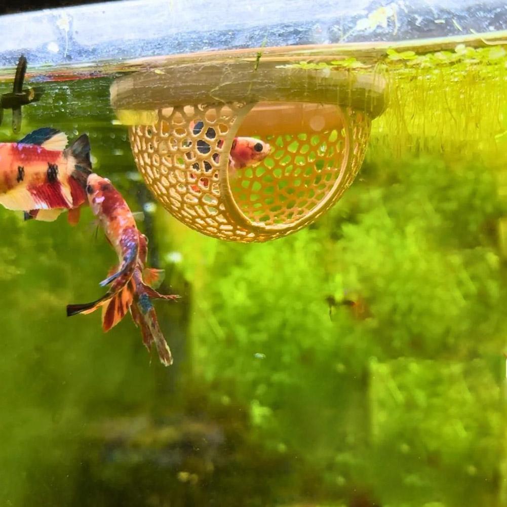 Aquarium Floating Cave Fish Sh - огляд і ціна Betta Fish Tank