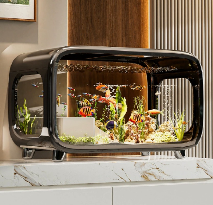 Creative Transparent Ecologica - огляд і ціна Fish Aquarium Home