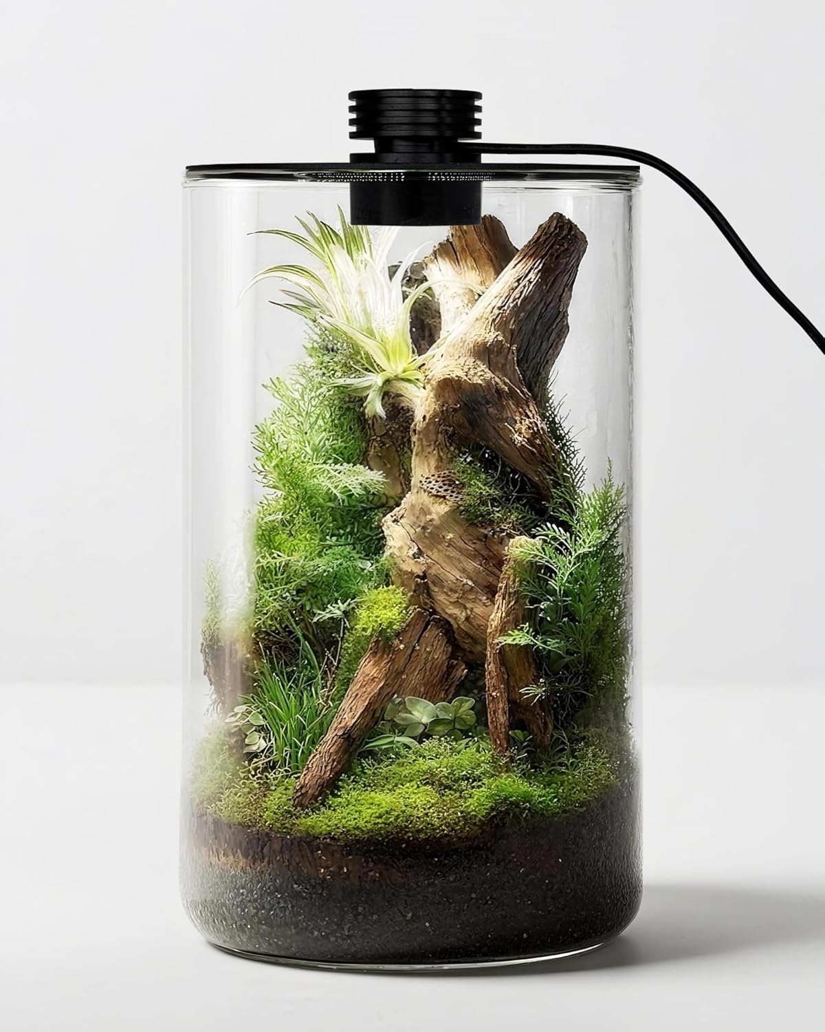 Indoor Glass Terrarium with Gr - огляд і ціна Betta Fish Tank