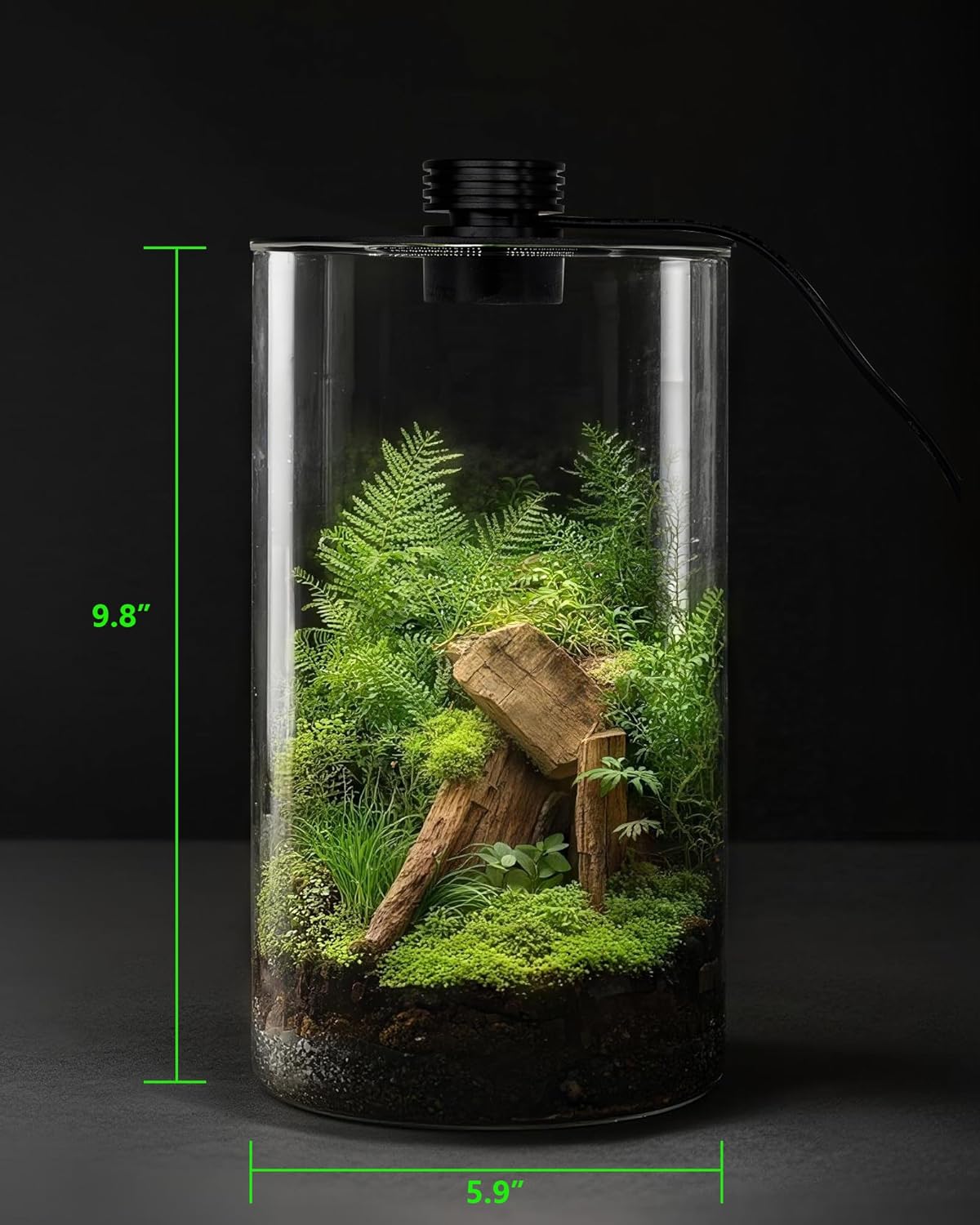 Indoor Glass Terrarium with Gr - огляд і ціна Betta Fish Tank