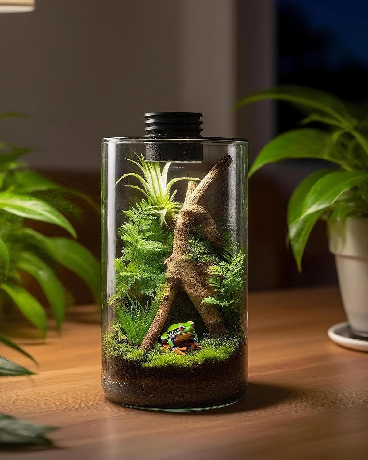 Indoor Glass Terrarium with Gr - огляд і ціна Betta Fish Tank
