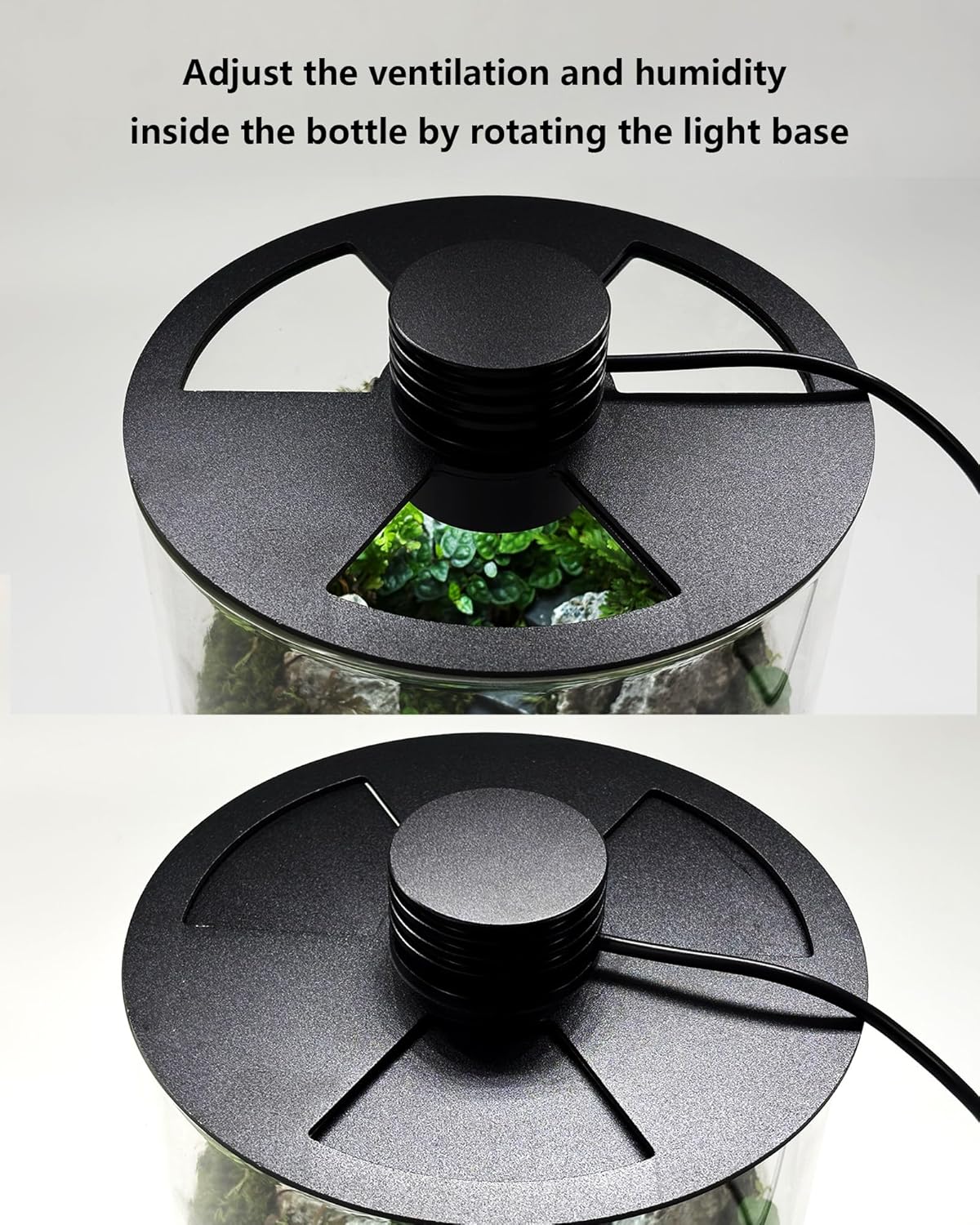 Indoor Glass Terrarium with Gr - огляд і ціна Betta Fish Tank