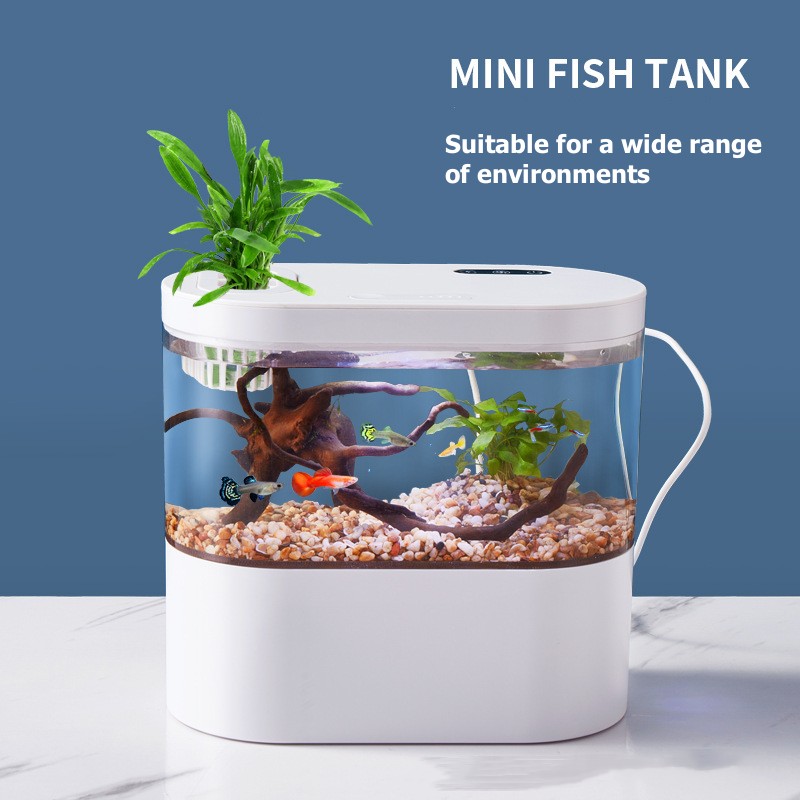 Creative Mini Desktop Fish Tan - огляд і ціна Betta Fish Tank