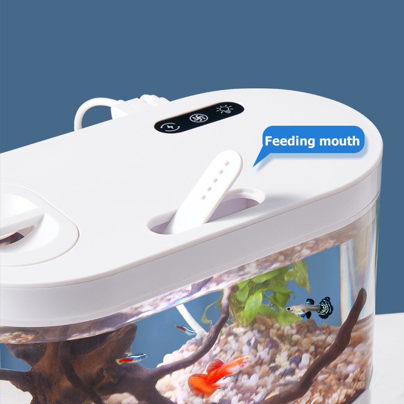 Creative Mini Desktop Fish Tan - огляд і ціна Betta Fish Tank